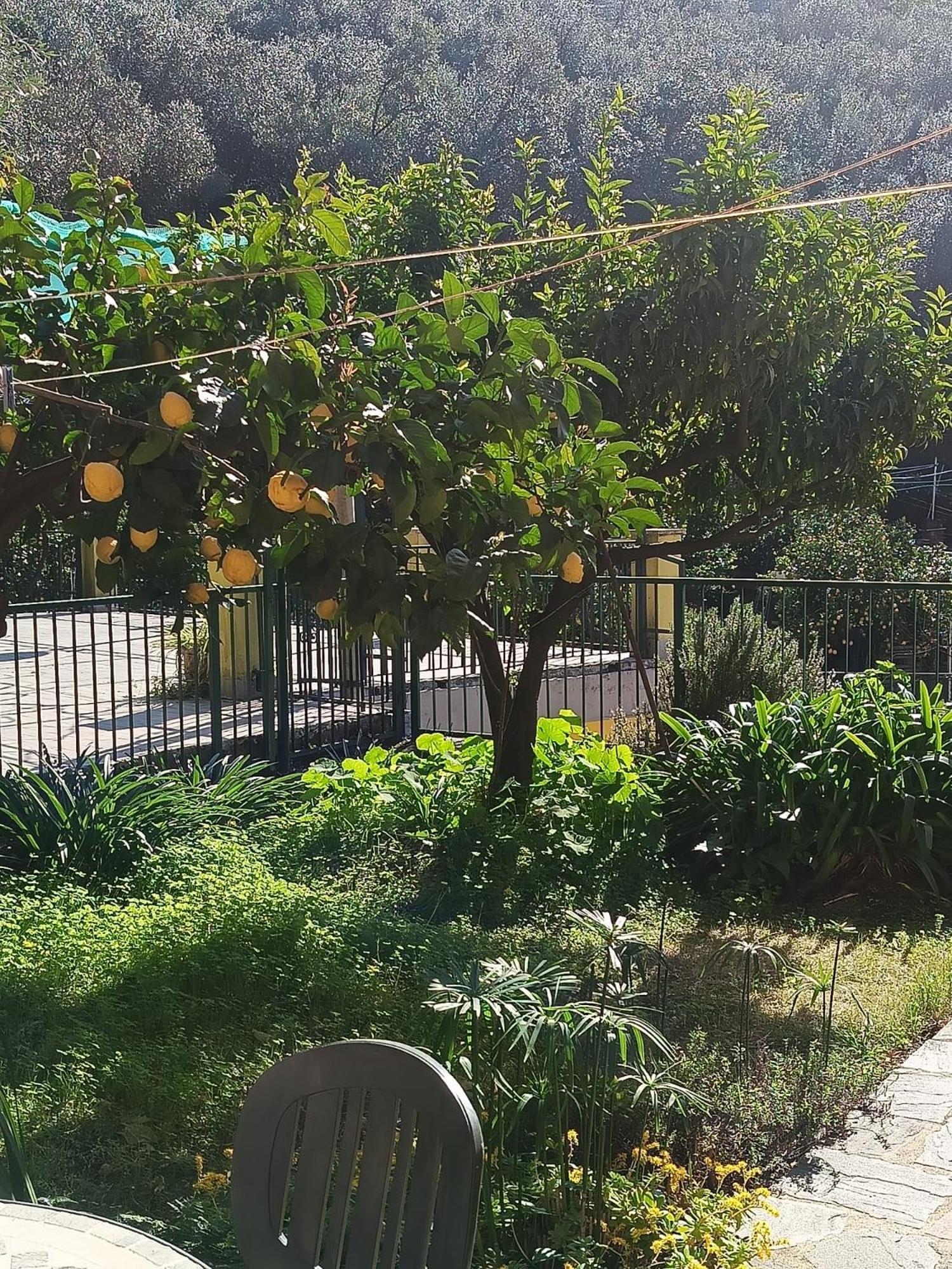 Chez Diego With Ac And Garden Монтеросо ал Маре Екстериор снимка